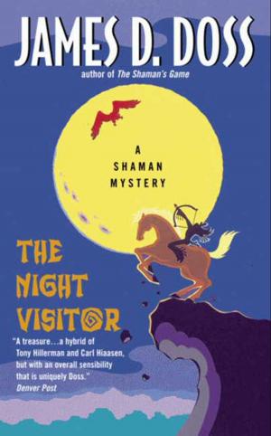 Cover of the book The Night Visitor by Alison Weaver