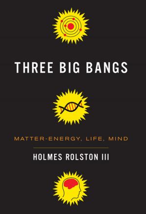 Book cover of Three Big Bangs
