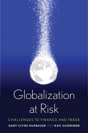 Cover of the book Globalization at Risk by Saul M. Olyan