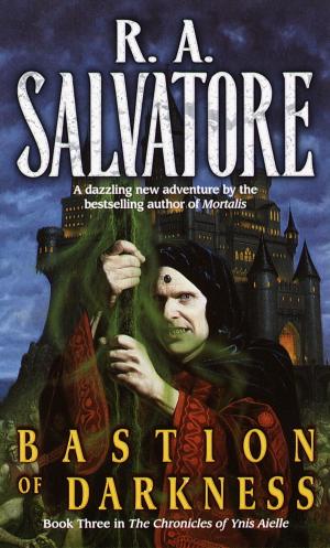 Cover of the book Bastion of Darkness by Dean Pyper