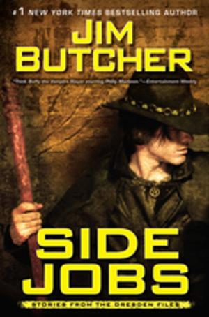 Cover of the book Side Jobs by Beth Kery