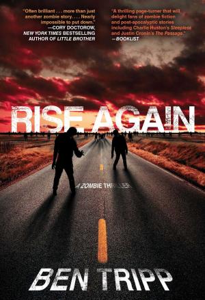 Cover of the book Rise Again by Linda Fairstein