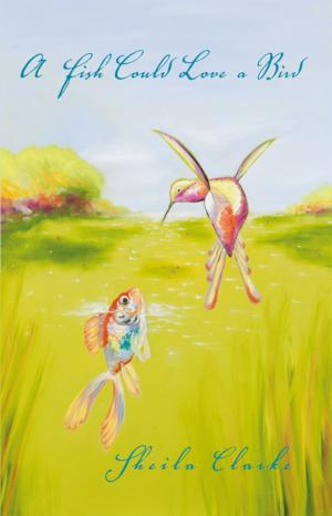 Cover of the book A Fish Could Love a Bird by Janice Cross Kerlee
