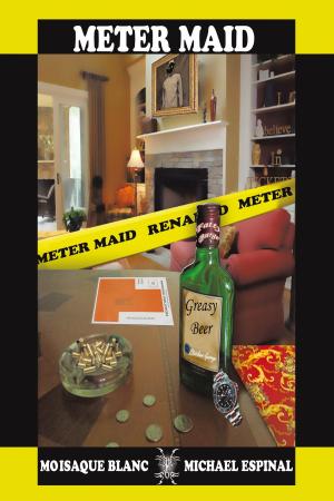 Book cover of Meter Maid