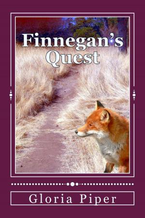 Cover of the book Finnegan's Quest by Kayvan DeBash