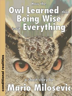 Cover of the book How the Owl Learned that Being Wise isn’t Everything by Cassandra Stryffe