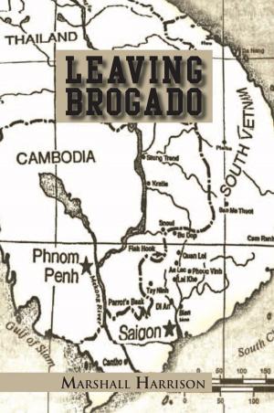 Cover of the book Leaving Brogado by Emma Andersen