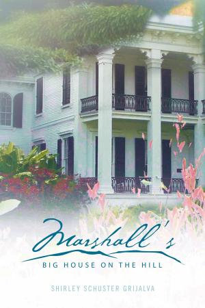 Cover of the book Marshall's Big House on the Hill by Duncan Robins