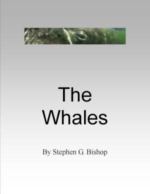 Cover of the book The Whales by Emma Philip