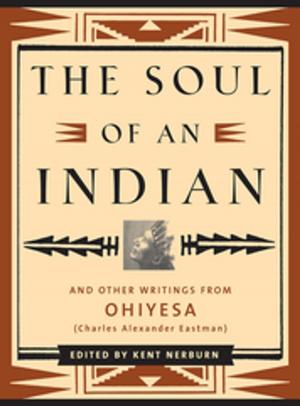 Cover of The Soul of an Indian