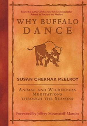 Book cover of Why Buffalo Dance
