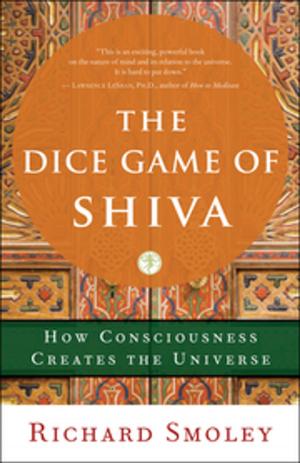 Book cover of The Dice Game of Shiva