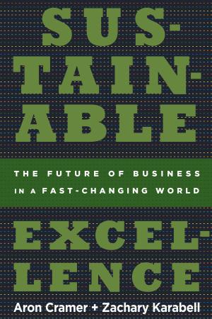 Book cover of Sustainable Excellence