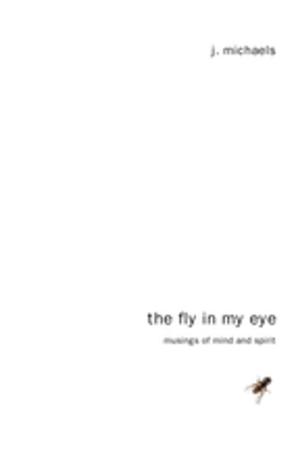 Cover of the book The Fly in My Eye by Noel-Anne Brennan