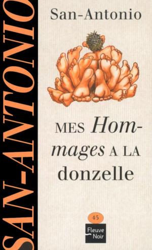 Cover of the book Mes hommages à la donzelle by Soman CHAINANI
