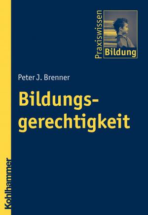 Cover of the book Bildungsgerechtigkeit by Manfred Wolfersdorf, Michael Schüler