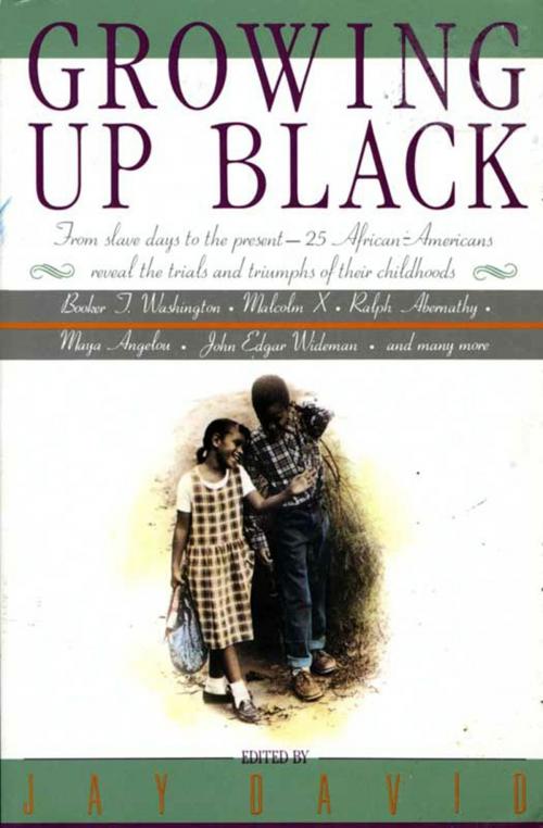 Cover of the book Growing Up Black by Jay David, HarperCollins e-books