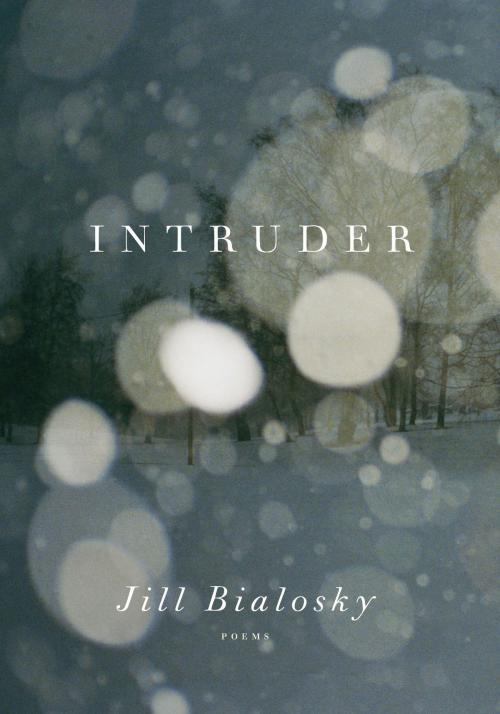 Cover of the book Intruder by Jill Bialosky, Knopf Doubleday Publishing Group
