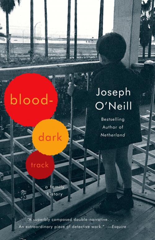 Cover of the book Blood-Dark Track by Joseph O'Neill, Knopf Doubleday Publishing Group