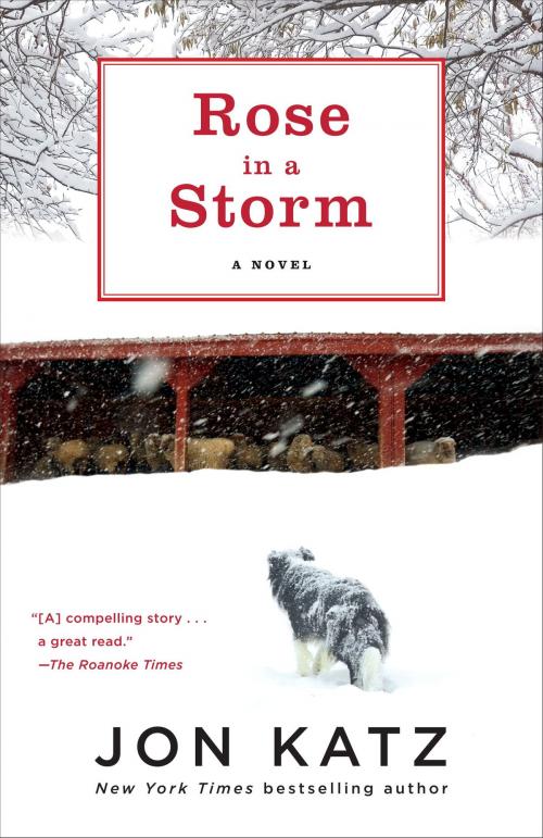 Cover of the book Rose in a Storm by Jon Katz, Random House Publishing Group