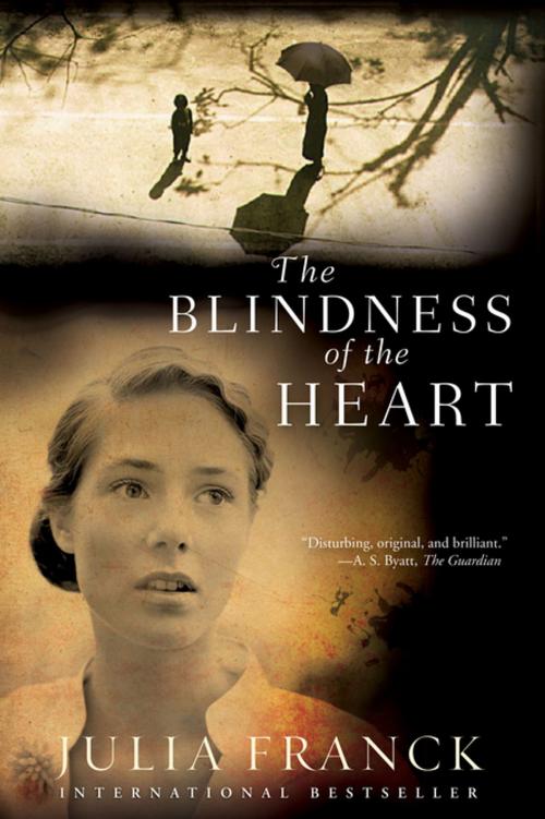 Cover of the book Blindness of the Heart by Julia Franck, Grove Atlantic