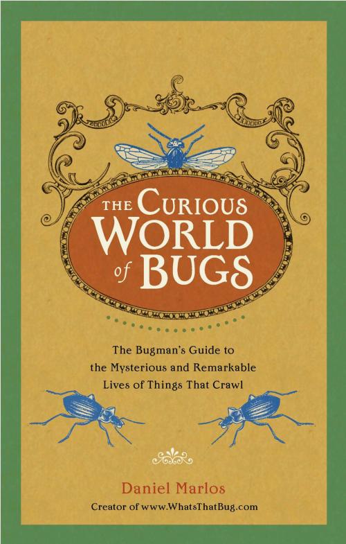 Cover of the book The Curious World of Bugs by Daniel Marlos, Penguin Publishing Group