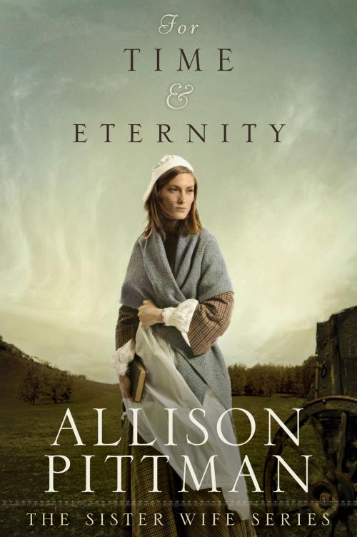 Cover of the book For Time & Eternity by Allison Pittman, Tyndale House Publishers, Inc.