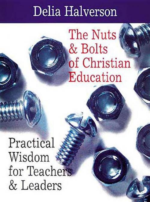Cover of the book The Nuts & Bolts of Christian Education by Delia Halverson, Abingdon Press