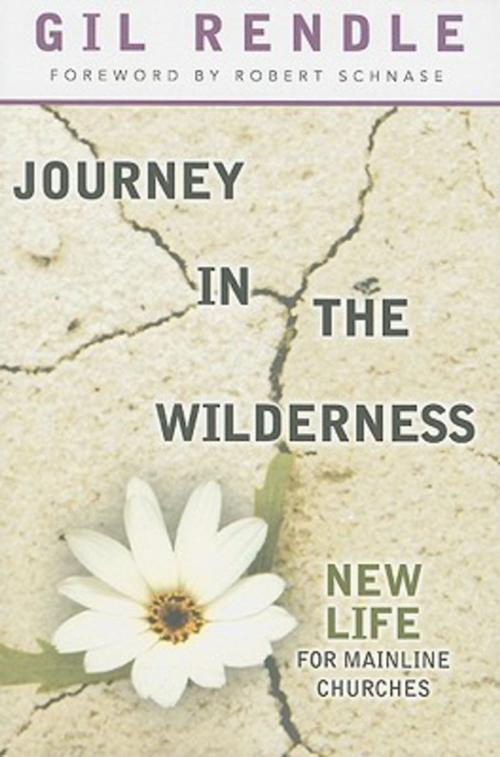 Cover of the book Journey in the Wilderness by Gil Rendle, Abingdon Press