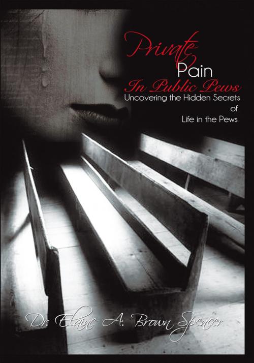 Cover of the book Private Pain in Public Pews by Dr. Elaine A. Brown Spencer, WestBow Press