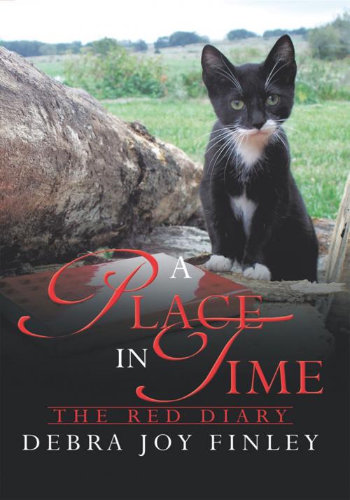 Cover of the book A Place in Time by Debra Joy Finley, AuthorHouse