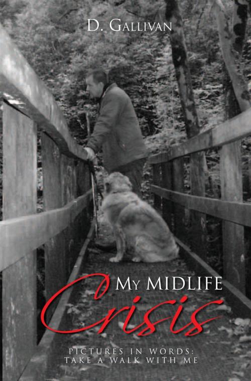 Cover of the book My Midlife Crisis by D. Gallivan, Xlibris UK