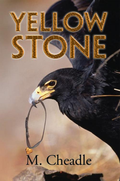 Cover of the book Yellow Stone by M. Cheadle, Xlibris US