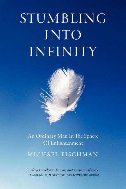 Cover of the book Stumbling Into Infinity by Michael Fischman, Morgan James Publishing