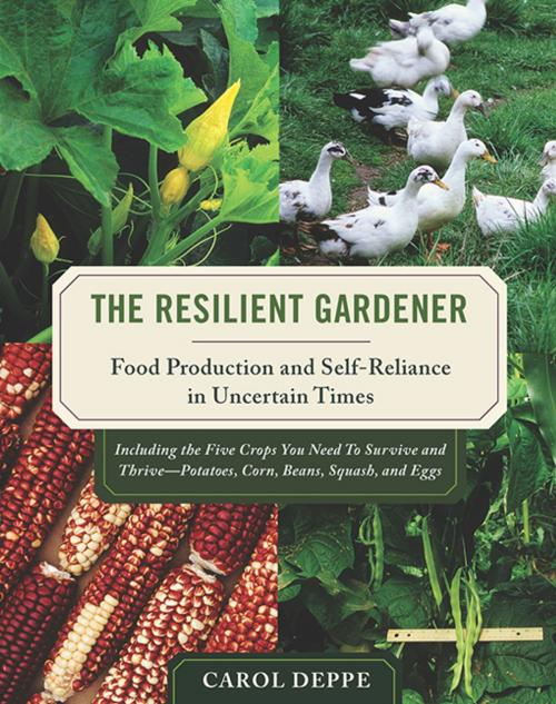 Cover of the book The Resilient Gardener by Carol Deppe, Chelsea Green Publishing