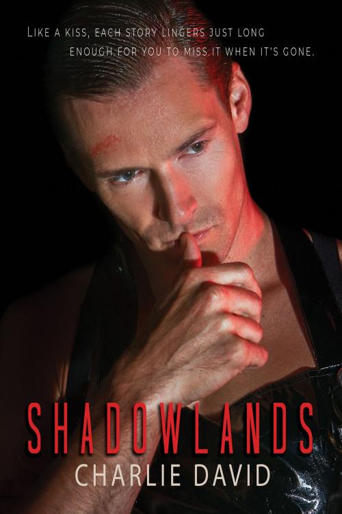 Cover of the book Shadowlands by Charlie David, Dreamspinner Press