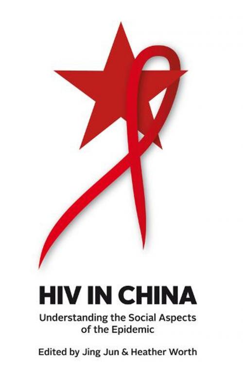 Cover of the book HIV in China by , University of New South Wales Press