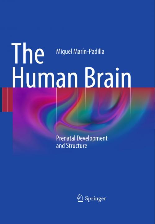 Cover of the book The Human Brain by Miguel Marín-Padilla, Springer Berlin Heidelberg