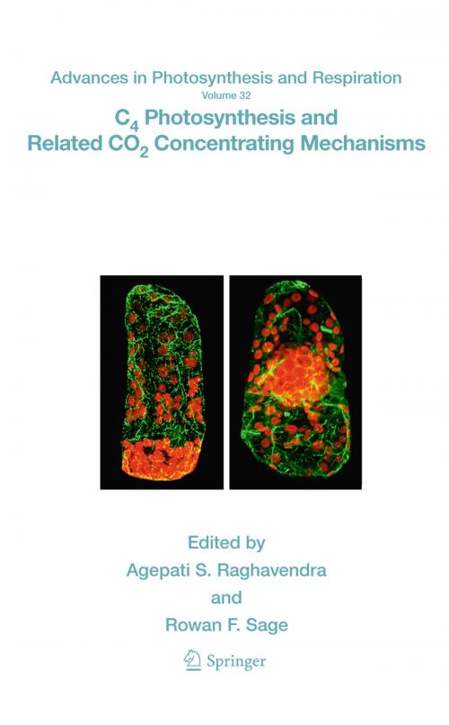 Cover of the book C4 Photosynthesis and Related CO2 Concentrating Mechanisms by , Springer Netherlands