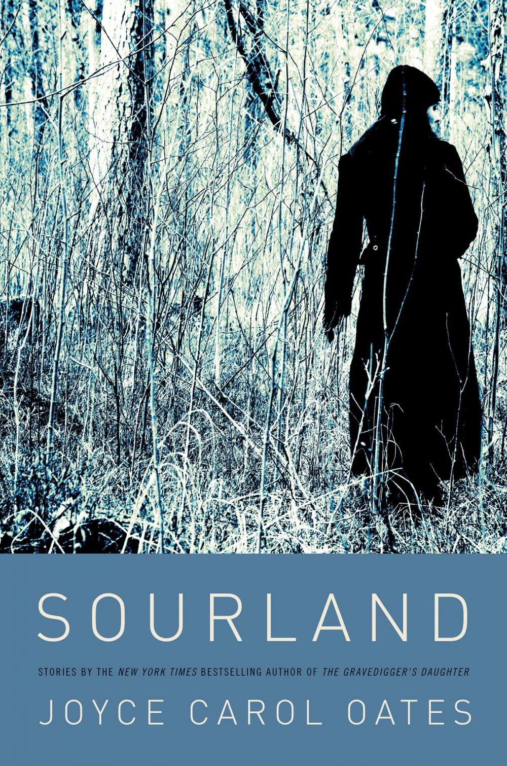 Big bigCover of Sourland