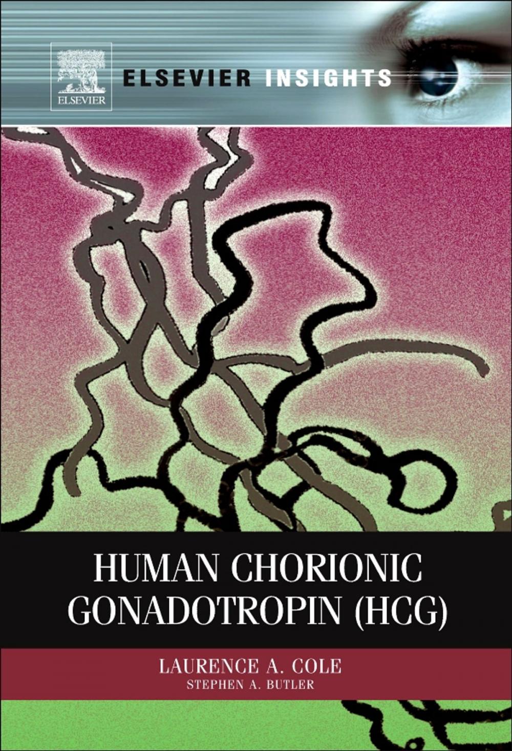 Big bigCover of Human Chorionic Gonadotropin (hCG)