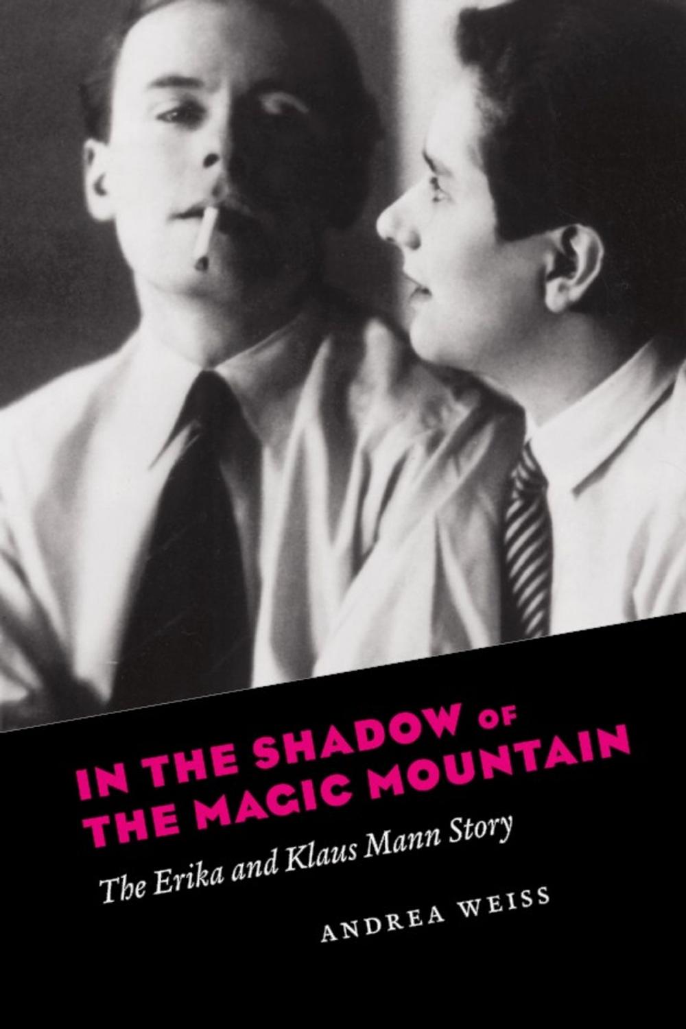 Big bigCover of In the Shadow of the Magic Mountain