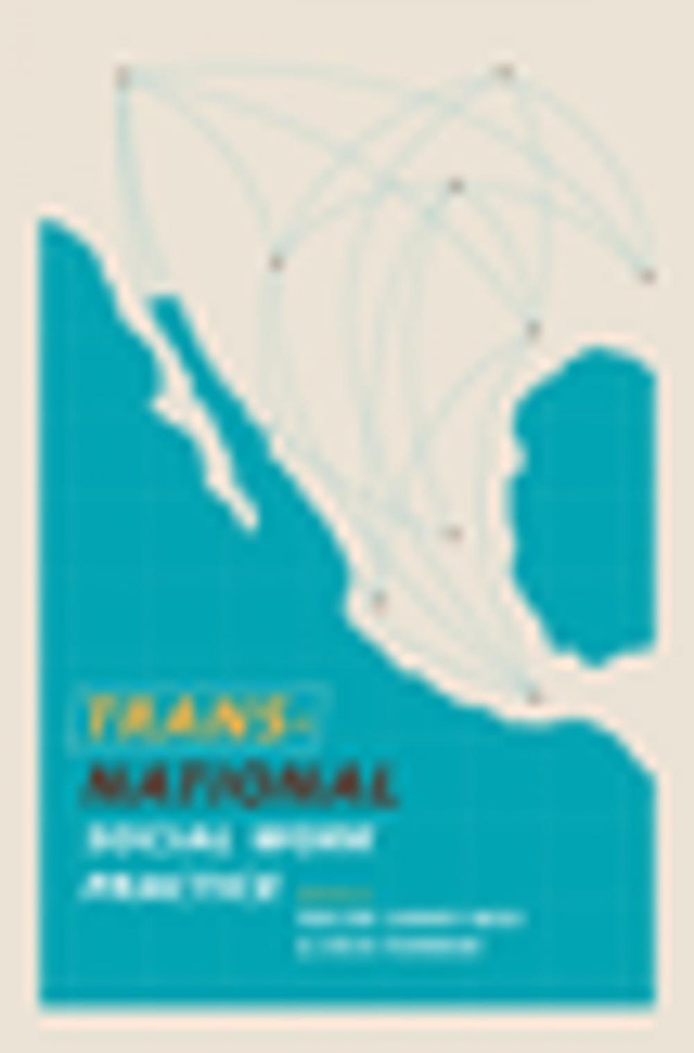 Big bigCover of Transnational Social Work Practice