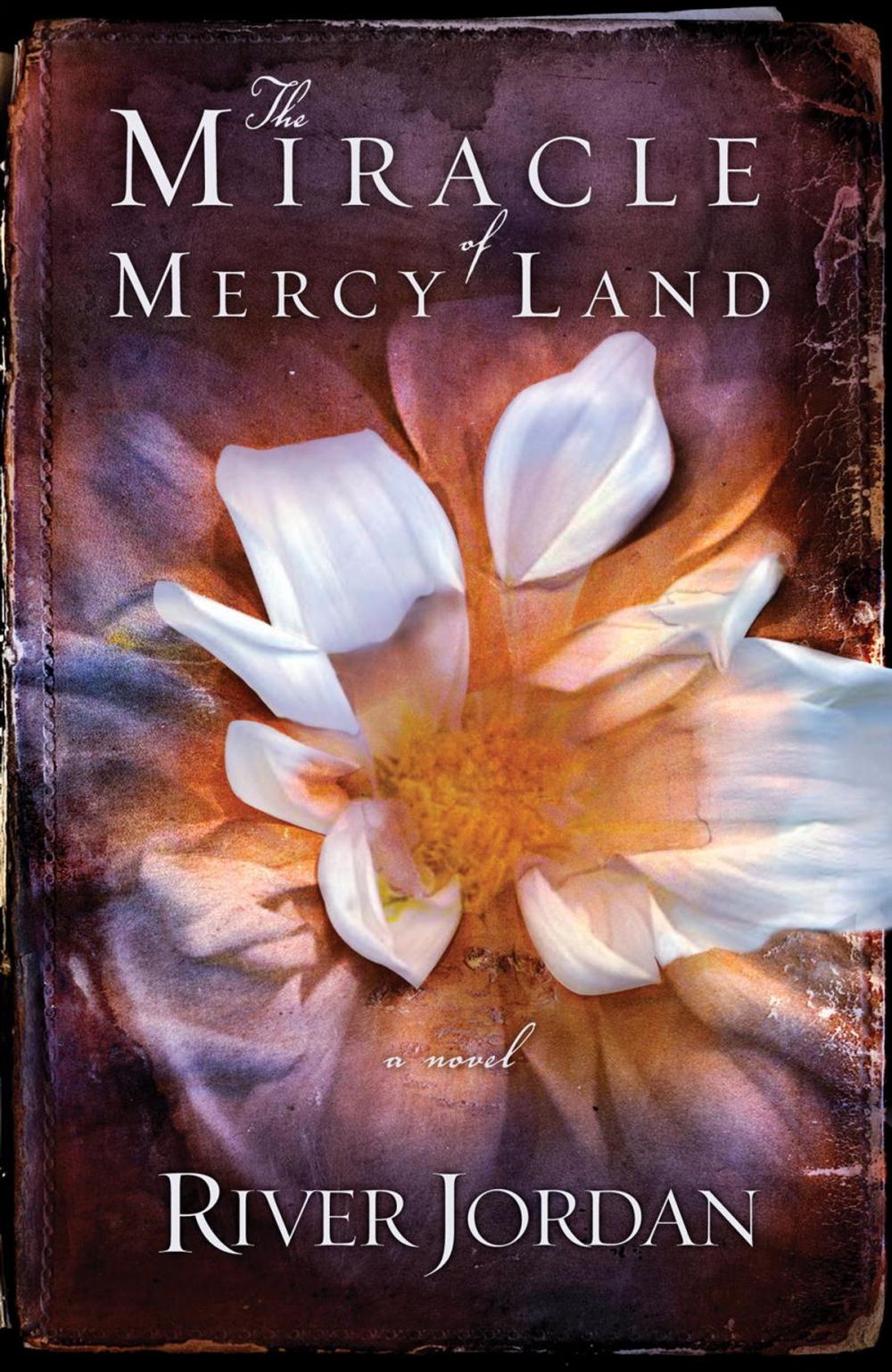 Big bigCover of The Miracle of Mercy Land