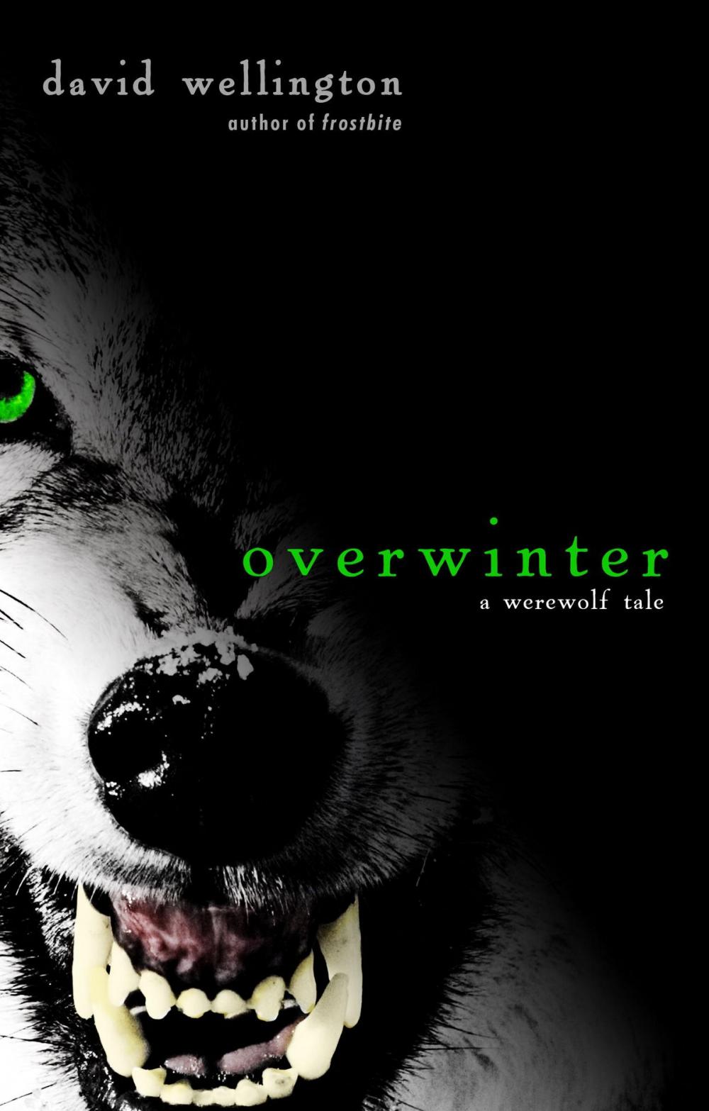 Big bigCover of Overwinter