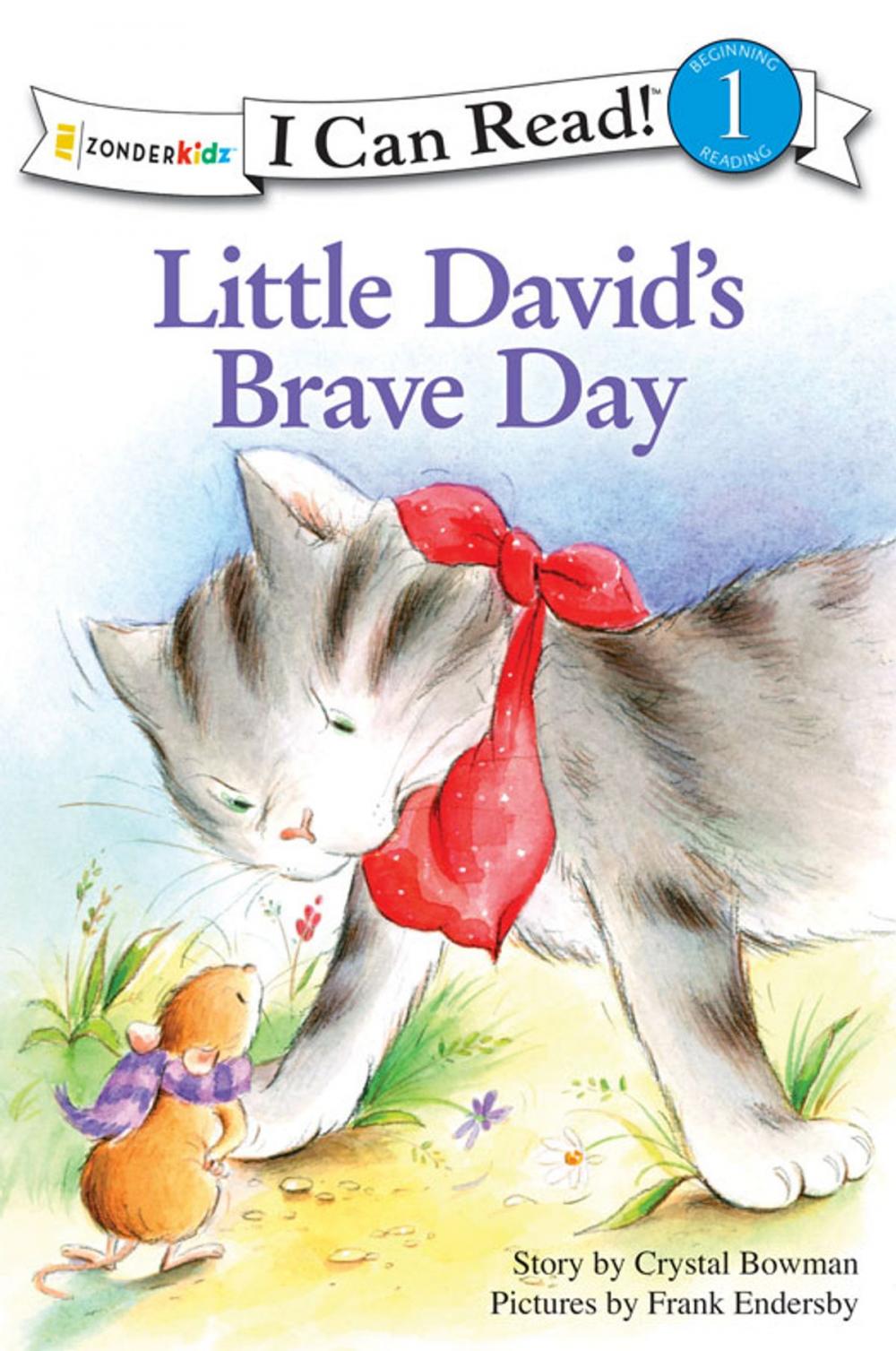 Big bigCover of Little David's Brave Day