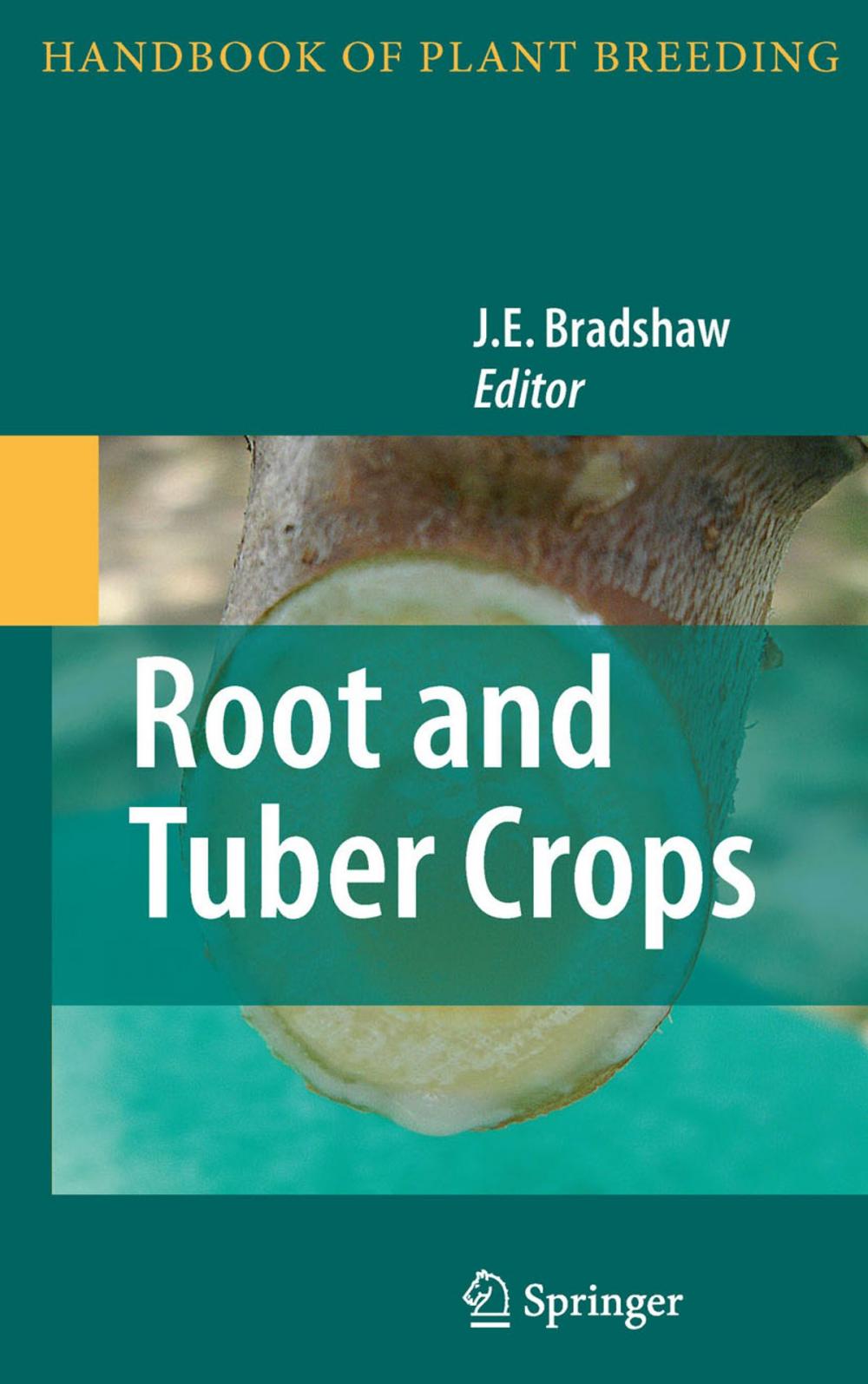 Big bigCover of Root and Tuber Crops