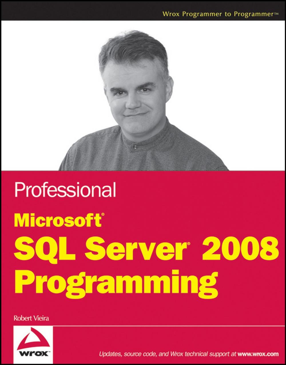 Big bigCover of Professional Microsoft SQL Server 2008 Programming