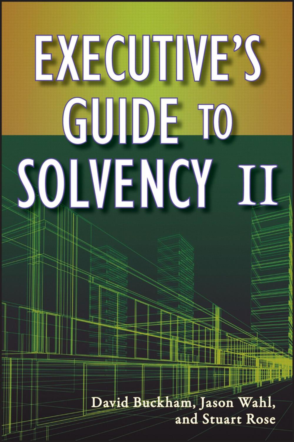 Big bigCover of Executive's Guide to Solvency II