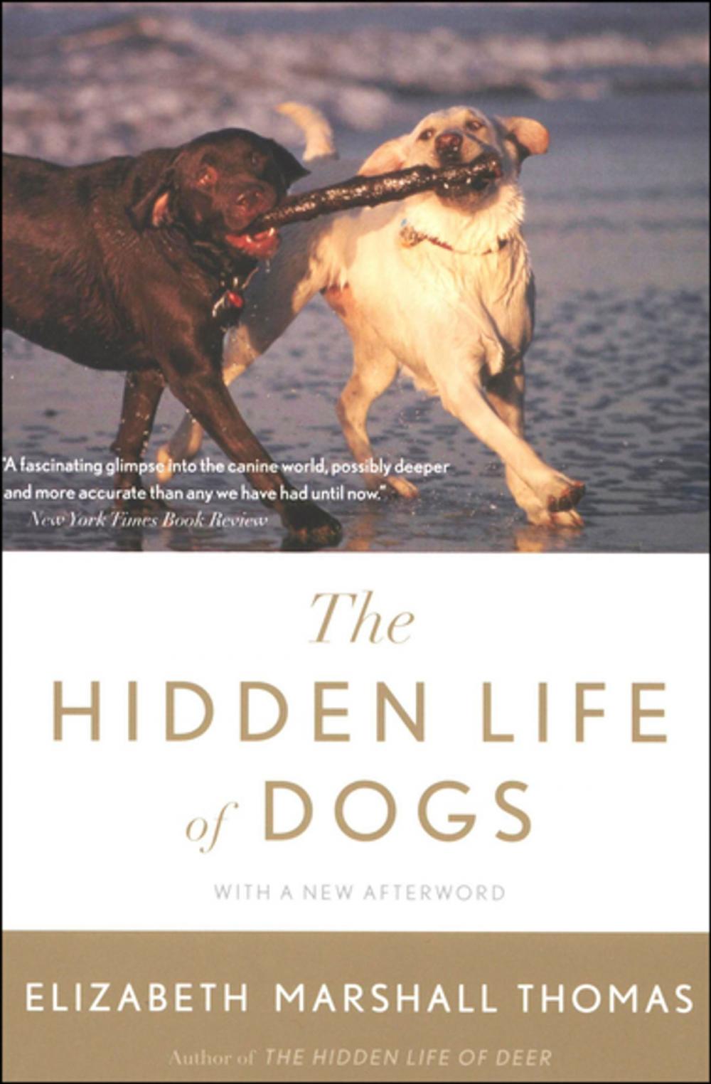 Big bigCover of The Hidden Life of Dogs